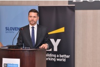 „ŠKODNÁ AKO CHRÁNENÝ DRUH ALEBO ZMENA PARADIGMY POSTOJA SPOLOČNOSTI K NEPLATIČOM”