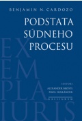 PODSTATA SÚDNEHO PROCESU